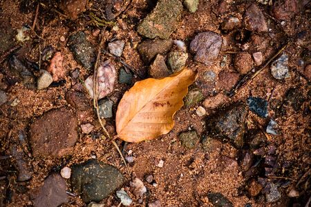 Scotland natureの写真素材