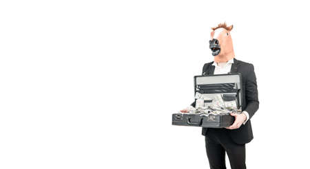 Professional man businessman wear horse head mask holding suitcase with dollar banknotes, money.の写真素材