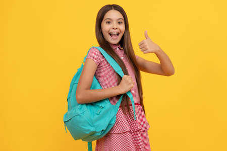 concept of education. kid with long hair on yellow background. september 1.の写真素材