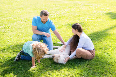 happy family of mother daddy and kid son playing with pet dog in summer park green grass, relaxの写真素材