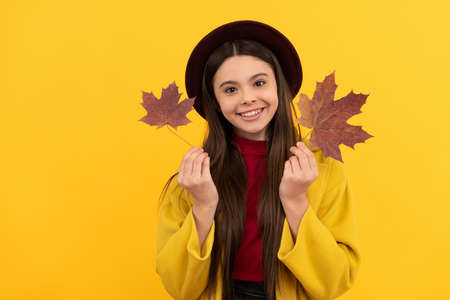 happy child in hat and coat with autumn maple leaves on yellow background, autumnの写真素材