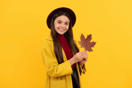 natural beauty. fall season fashion. teen girl in hat hold autumn leaf. happy child with maple leafの写真素材