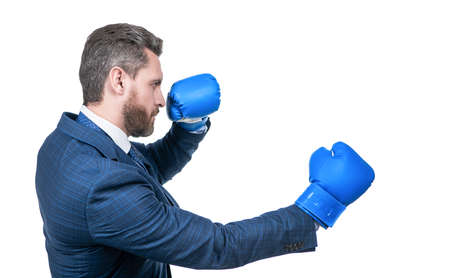 confident businessman man in suit and boxing gloves punching isolated on white, boxerの写真素材