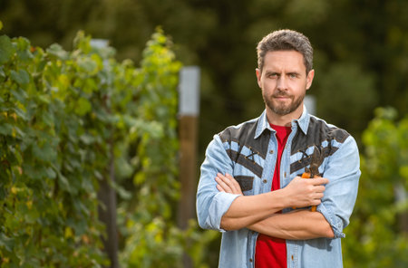 male vineyard owner hold gardening tool. professional vintner on grape farm. man harvesterの写真素材