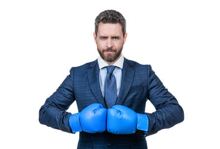 Ill knock you out. Serious boss wear boxing gloves. Boxing competition. Business rivalryの写真素材