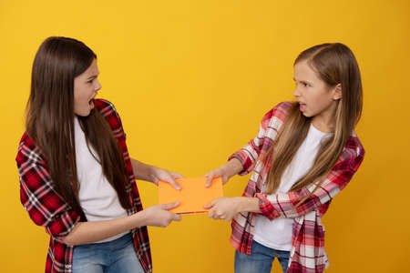 angry kids in casual checkered shirt fighting for with notebooks, angerの写真素材