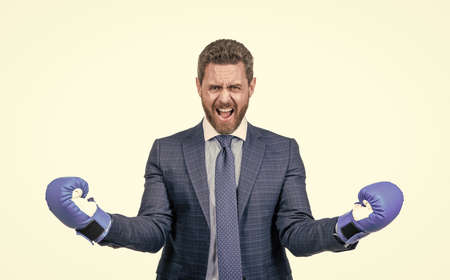 angry shouting businessman man in suit and boxing gloves isolated on white, angerの写真素材