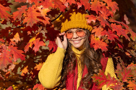 positive child in sunglasses at autumn leaves on natural backgroundの写真素材