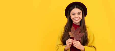 glad kid in hat and coat with autumn maple leaf on yellow background. Autumn fall child for poster design. Banner header, copy space.の写真素材