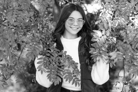 fall season fashion. teen girl with curly hair among autumn rowan leaves.