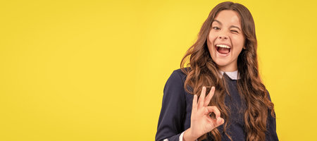 winking kid show ok gesture. Child face, horizontal poster, teenager girl isolated portrait, banner...