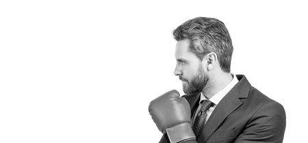 Never stop fighting. Businessman in boxing position. Professional man in boxing glovesの写真素材