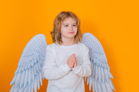 Angel prayer kids. Angel child. Isolated studio shot. Cute kid with angel wings. Cupid, valentines day concept.の写真素材