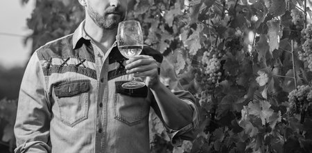 cropped enologist with wineglass. sommelier. farmer drink wine. cheers. vinedresser drinking.の写真素材