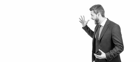 Angry executive manager in formal suit scream gesticulating half-turn, anger. Man face portrait, banner with copy space. Business man in suit, isolated studio background.の写真素材