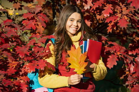 Autumn teenager girl portrait in fall autumn leaves. glad girl hold workbook on autumn leaves backgroundの写真素材