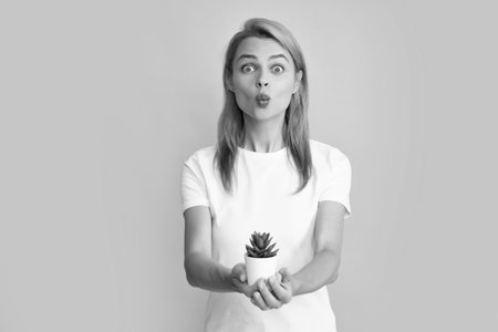 Young beautiful woman holding cactus pot over isolated blue background.の写真素材