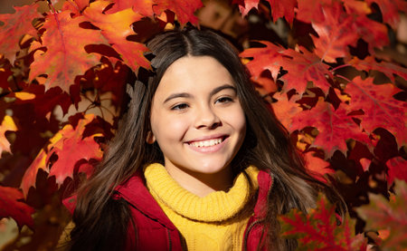 Autumn kid girl face on fall leaf background. Autumn child teenager girl 12, 13, 14 years old portrait. glad girl standing at red autumn leavesの写真素材