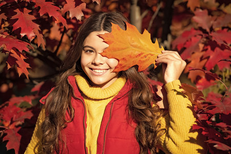 Autumn teen child portrait. smiling child standing at seasonal beautiful autumn leaves