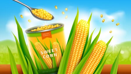 Sweet corn realistic vector advertising poster. Open tin can or conserve with golden yellow corn grains or maize, promo bannerのイラスト素材
