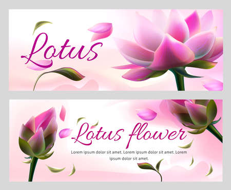 Vector horizontal banners with pink lotus flowers and flying petals on white background. Packaging design for ayurveda products or natural aroma spa cosmetic. greeting card or invitation card templateのイラスト素材