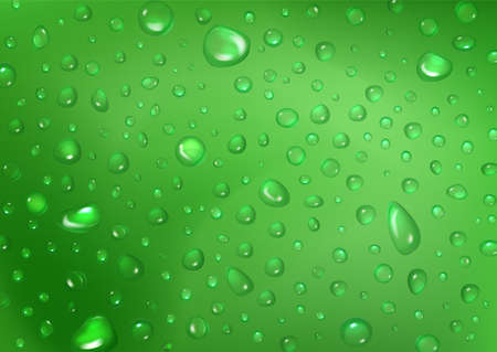 Fresh water drops on green abstract background. Drop wet texture or condensation water on grass color. Pure shining rain droplets, close up backdrop. Realistic 3d vector illustrationのイラスト素材