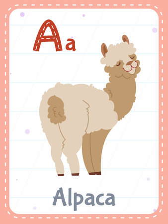 Alphabet printable flashcard with letter A. Cartoon cute alpaca animal picture and english word on flash card for children education. School memory cards for kindergarten kids flat vector illustrationのイラスト素材