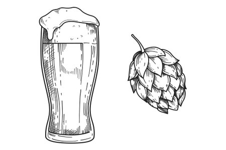 Hand drawn full of beer glass mug with foam and hops plant in engraving style. Vector engraved black vintage illustration of alcohol drink. Design element for brewery, poster, label, emblem or menu.のイラスト素材