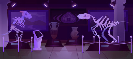 Cartoon night paleontology museum with dinosaur skeleton, ancient artifacts. Dark exhibition room with exhibits of archeology prehistoric animals. Archaeological tyrannosaurus rex fossils on pedestal.のイラスト素材