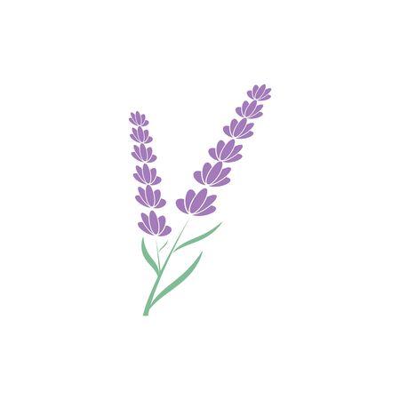 Lavender Logo Template vector symbol natureのイラスト素材