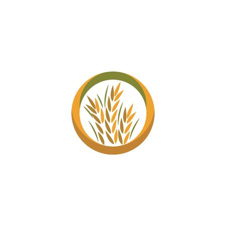 Wheat Logo Template vector symbol natureのイラスト素材