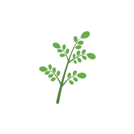 Moringa leaf Logo Template vector symbol natureのイラスト素材