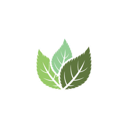 Leaf Mint Logo Template vector symbol natureのイラスト素材