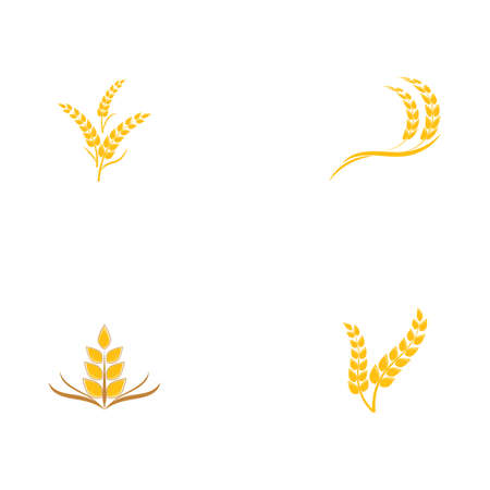 Set Wheat Logo Template vector symbol natureのイラスト素材