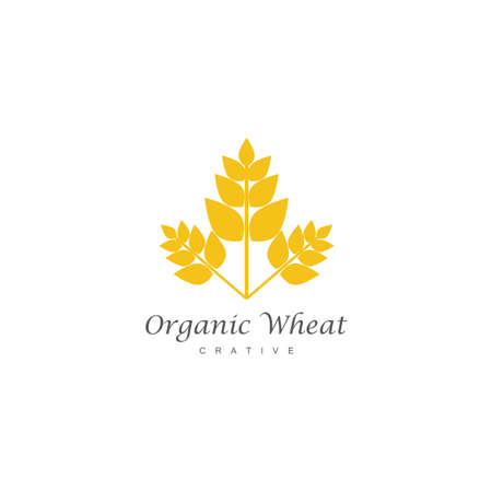 Wheat Logo Template vector symbol natureのイラスト素材