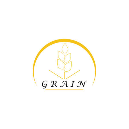 Wheat Logo Template vector symbol natureのイラスト素材