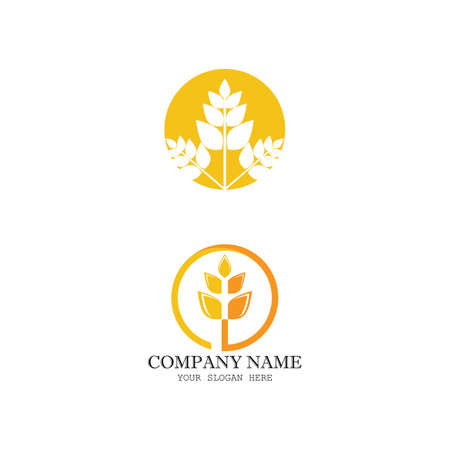 Wheat Logo Template vector symbol natureのイラスト素材