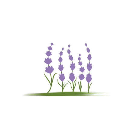 Lavender Logo Template vector symbol natureのイラスト素材