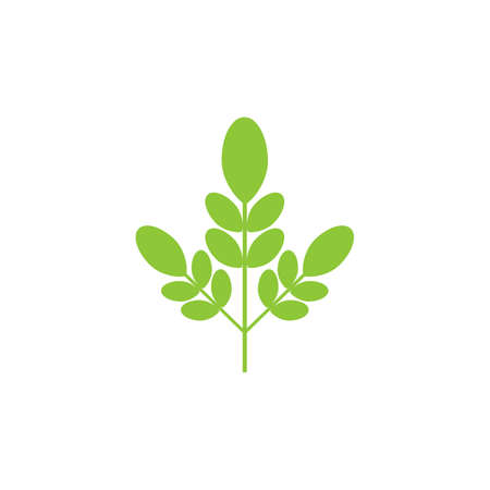 Moringa leaf Logo Template vector symbol natureのイラスト素材