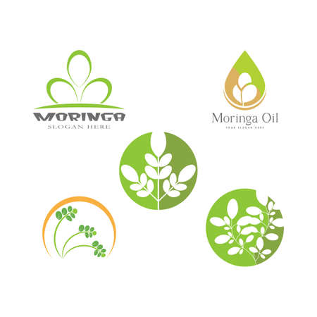 Set Moringa leaf Logo Template vector symbol natureのイラスト素材