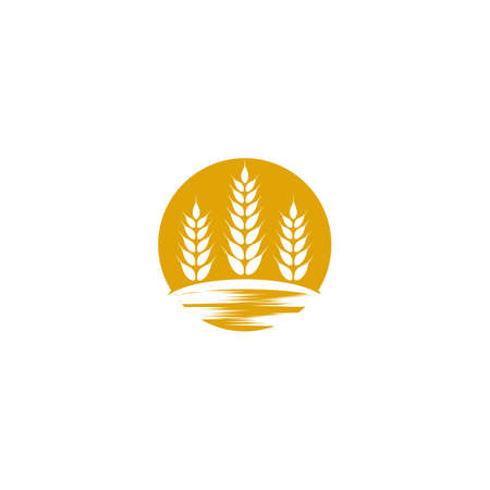 Wheat Logo Template vector symbol natureのイラスト素材