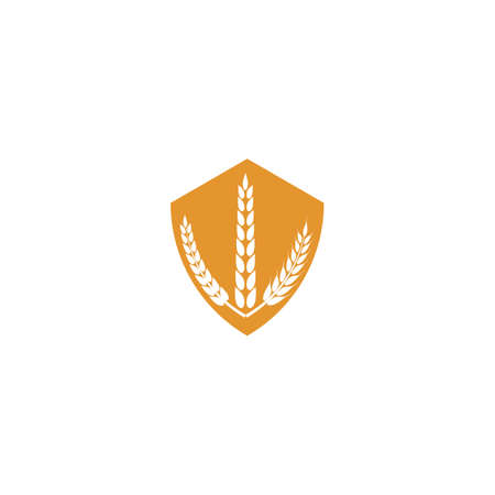 Wheat Logo Template vector symbol natureのイラスト素材