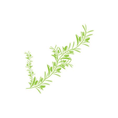 olive icon vector illustration design templateのイラスト素材