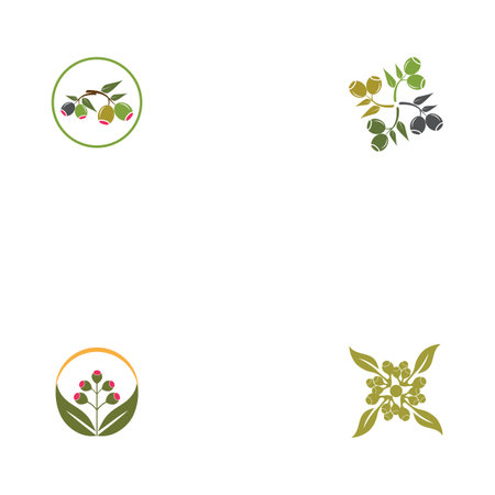 Set Eucalyptus leaves logo vector template design illustrationのイラスト素材