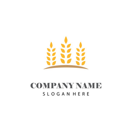 Wheat Logo Template vector symbol natureのイラスト素材