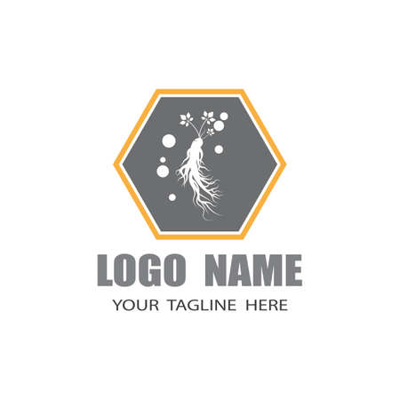 Ginseng vector icon illustration design templateのイラスト素材