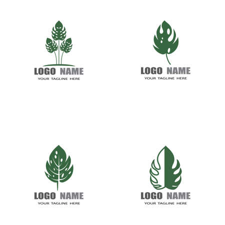 Monstera leaf logo vector designのイラスト素材