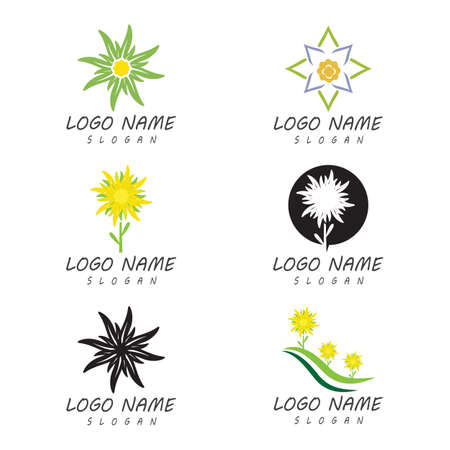 Edelweiss Logo Template vector symbol natureのイラスト素材