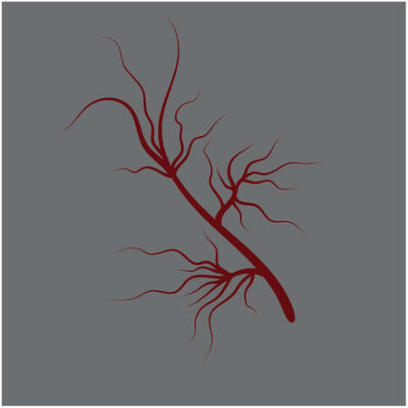 Veins Logo Template vector symbol medical designのイラスト素材