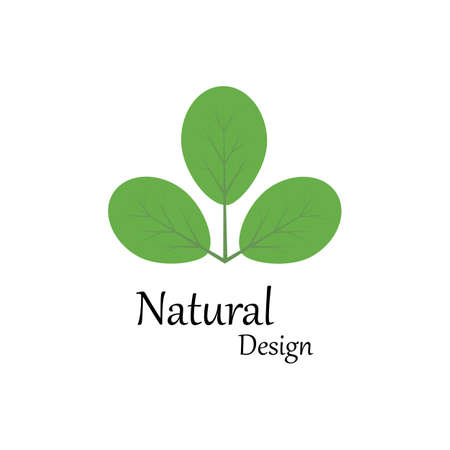 Leaf icon Vector Illustration design Logo templateのイラスト素材